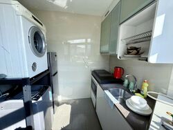 Icon @ Pasir Panjang (D5), Apartment #524209101
